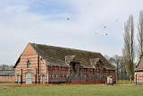 grote hoeve merksplas 03-2010 5839